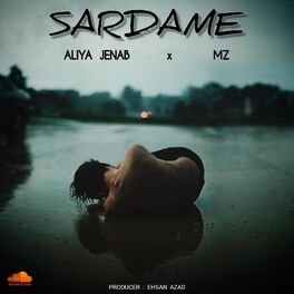 Album cover of Sardame (feat. Mz)