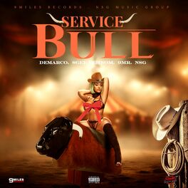 Album cover of Service Bull