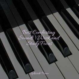Album cover of Best Comforting Sounds | Work and Study Focus
