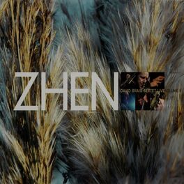 Album cover of Zhen: David Braid Sextet Live II