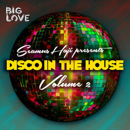 Album cover of Seamus Haji Presents Disco In The House, Vol. 2