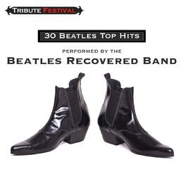 Album cover of 30 Beatles Top Hits