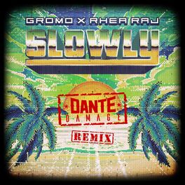Album cover of Slowly (Dante Damage Remix)