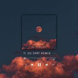 Album cover of Zu spät (Remix)