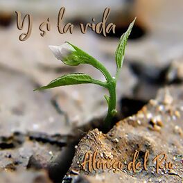 Album cover of Y Si la Vida