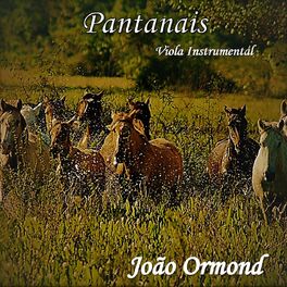 Album cover of Pantanais