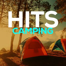 Album cover of Hits Camping