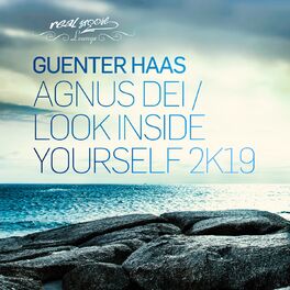 Album cover of Agnus Dei / Look Inside Yourself 2K19
