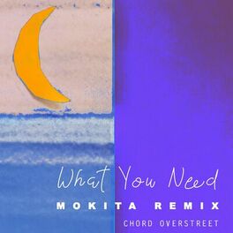 Album cover of What You Need (Mokita Remix)