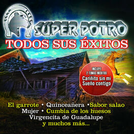 Album cover of Todos Sus Éxitos