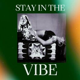 Album cover of Stay in the vibe