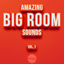 Album cover of Amazing Big Room Sounds, Vol. 1