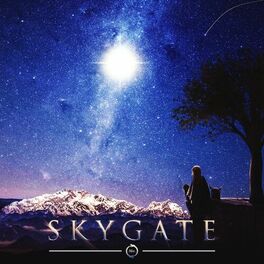 Album cover of Skygate