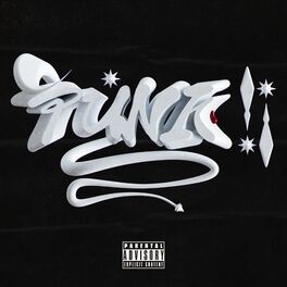 Album cover of Punk!