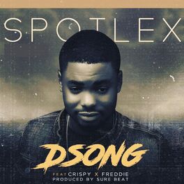 Album cover of Dsong
