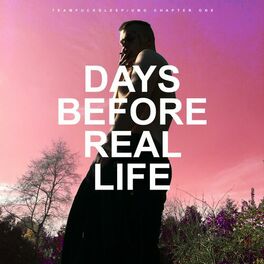 Album cover of DAYS BEFORE REAL LIFE