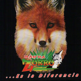 Album cover of Es la Diferencia