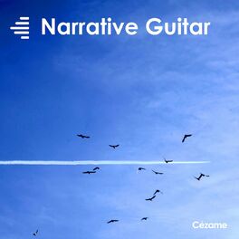 Album cover of Narrative Guitar