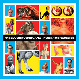 Album cover of Hooray For Boobies (Expanded Edition)