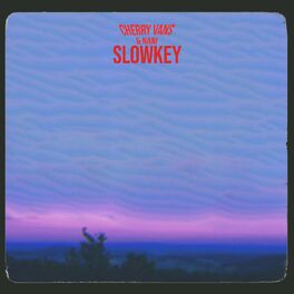 Album cover of Slowkey