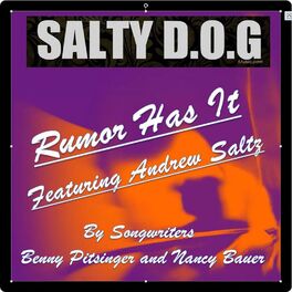 Album cover of Rumor Has It (feat. Andrew Saltz)