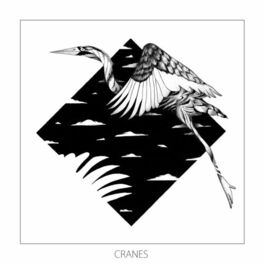 Album cover of Cranes