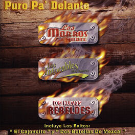 Album cover of Puro Pa' Delante