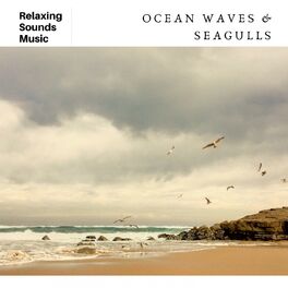 Album cover of Soothing Ocean Waves & Seagulls