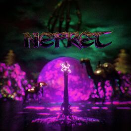 Album cover of Nefret