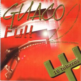 Album cover of 16 Tubazos