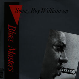 Album cover of Blues Masters Vol. 12
