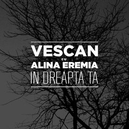 Album cover of In dreapta ta