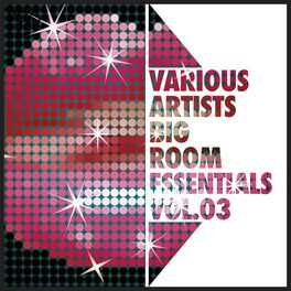 Album cover of Big Room Essentials Vol.03