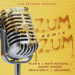Album cover of Zum Zum (Remix)