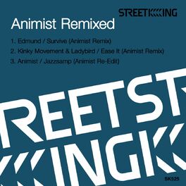 Album cover of Animist Remixed