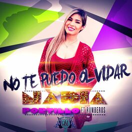Album cover of No Te Puedo Olvidar