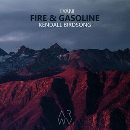 Album cover of Fire & Gasoline (feat. Kendall Birdsong)