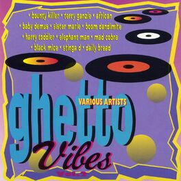 Album cover of Ghetto Vibes Vol. 2