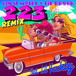 Album cover of 223 Remix