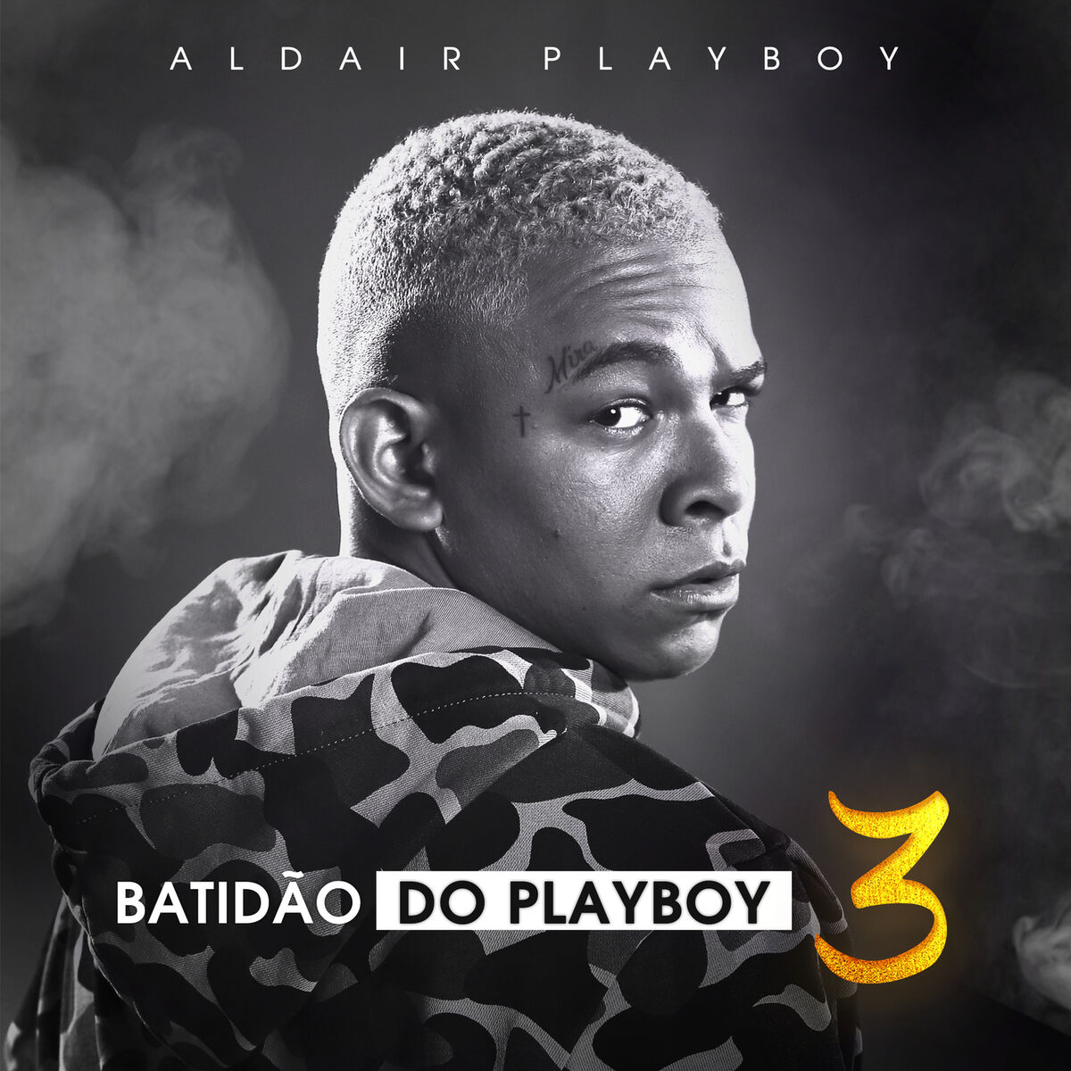 Aldair Playboy - Live Show Natal RN (Ao Vivo): lyrics and songs | Deezer