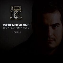 Album cover of We're Not Alone (Remixes)