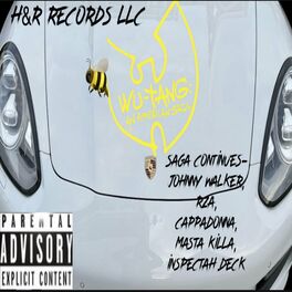 Album cover of SAGA CONTINUES (feat. RZA, Cappadonna, Masta Killa & Inspectah Deck)