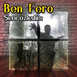 Album cover of Seni özledim