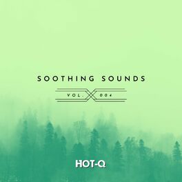 Album cover of Soothing Sounds 004