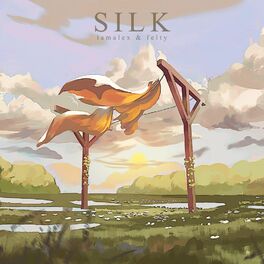 Album cover of Silk
