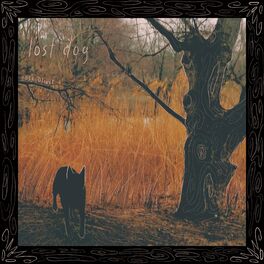 Album cover of Lost Dog