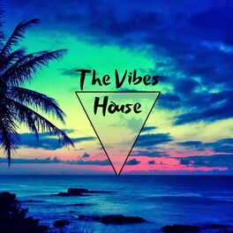 Album cover of The Vibes House