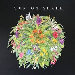 Album cover of Sun On Shade