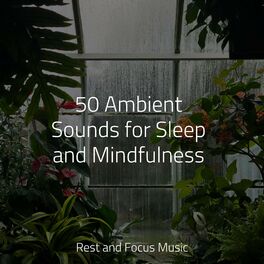 Album cover of 50 Ambient Sounds for Sleep and Mindfulness
