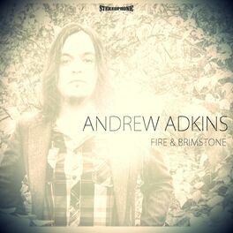 Album cover of Fire & Brimstone